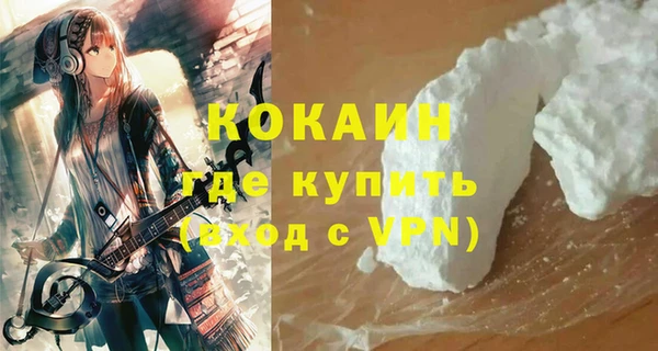ПСИЛОЦИБИНОВЫЕ ГРИБЫ Арсеньев