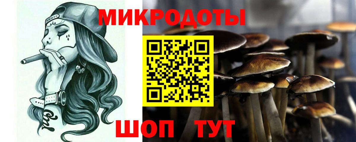 Галлюциногенные грибы Cubensis Дедовск